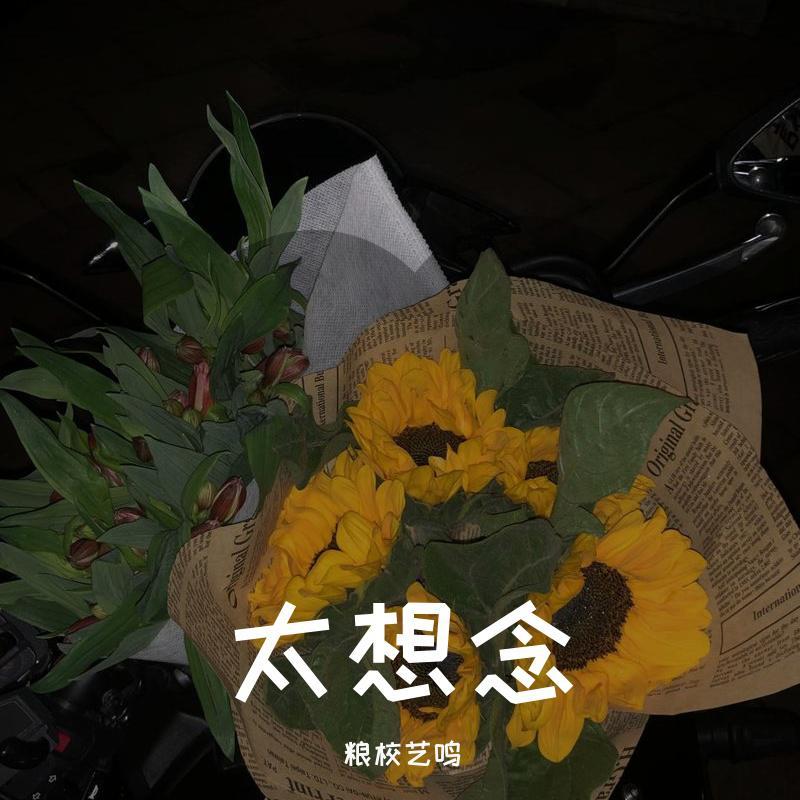 太想念