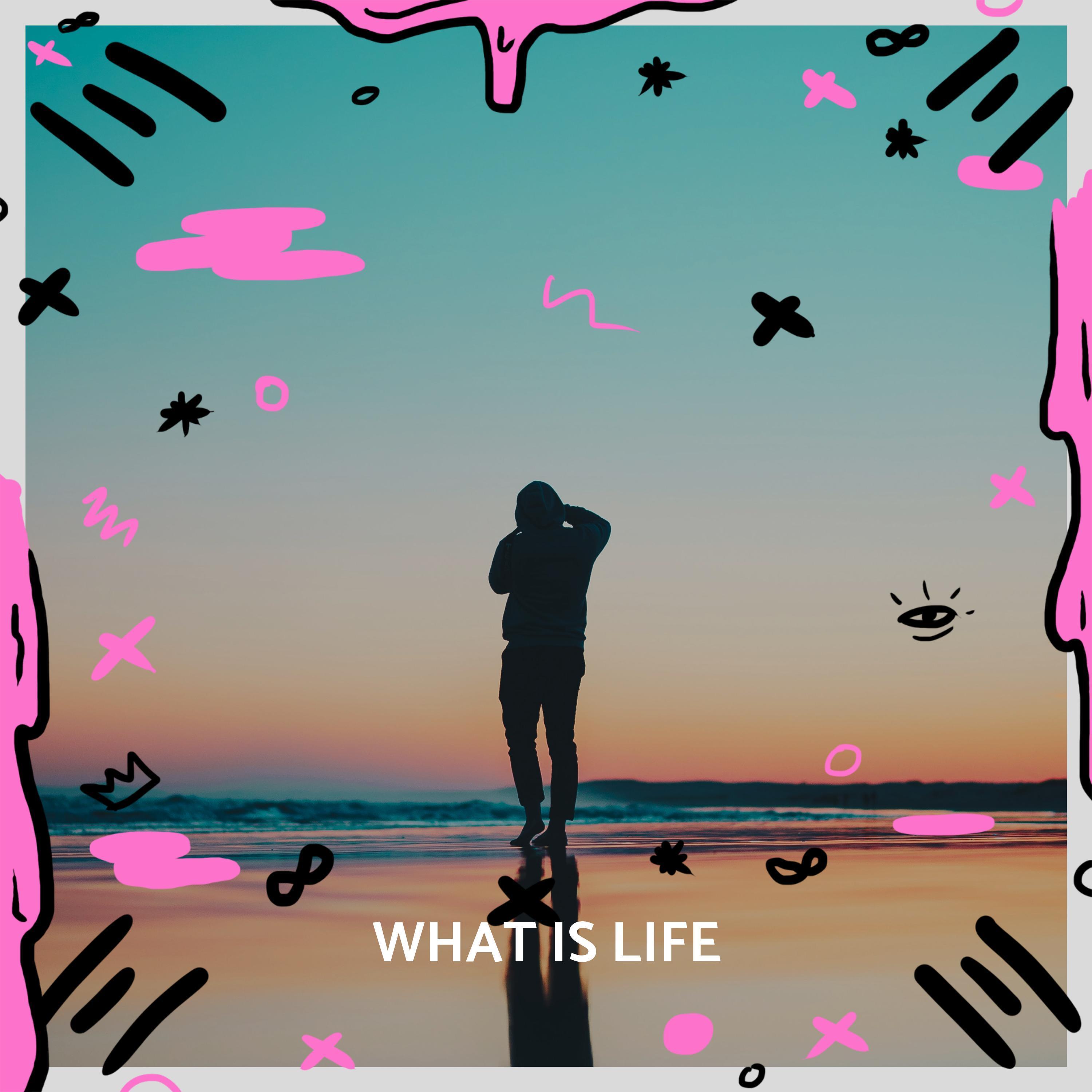 What Is Life (feat. Can Akbaş)