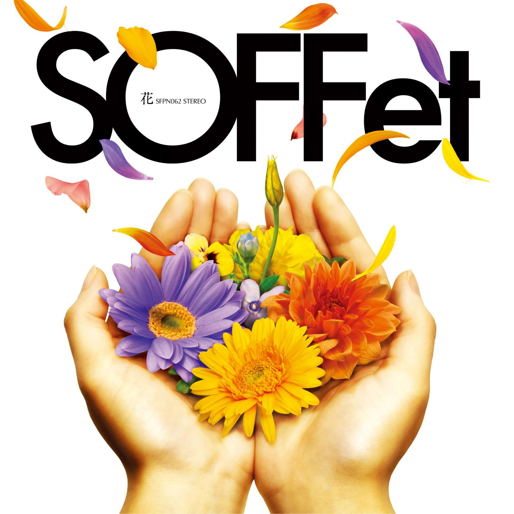 SOFFet - 花