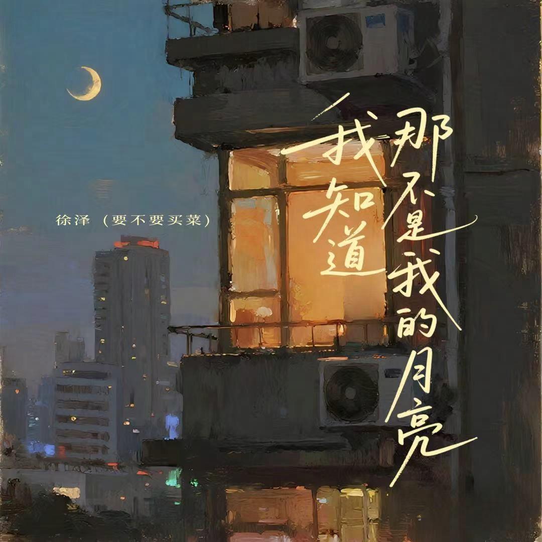 我知道那不是我的月亮专辑