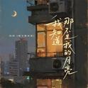 我知道那不是我的月亮专辑