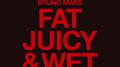 Fat Juicy & Wet专辑