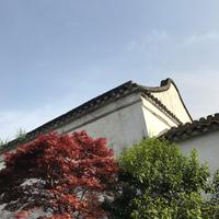 (原版伴奏)-春景(姑苏城 流浪的蛙蛙)