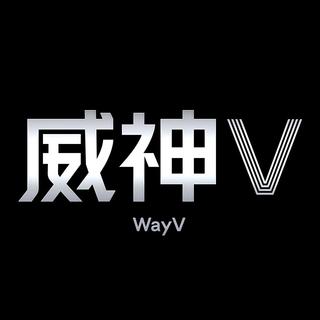 WayV|星光不问赶路人,时光不负有心人✨