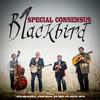 Special Consensus - Blackbird