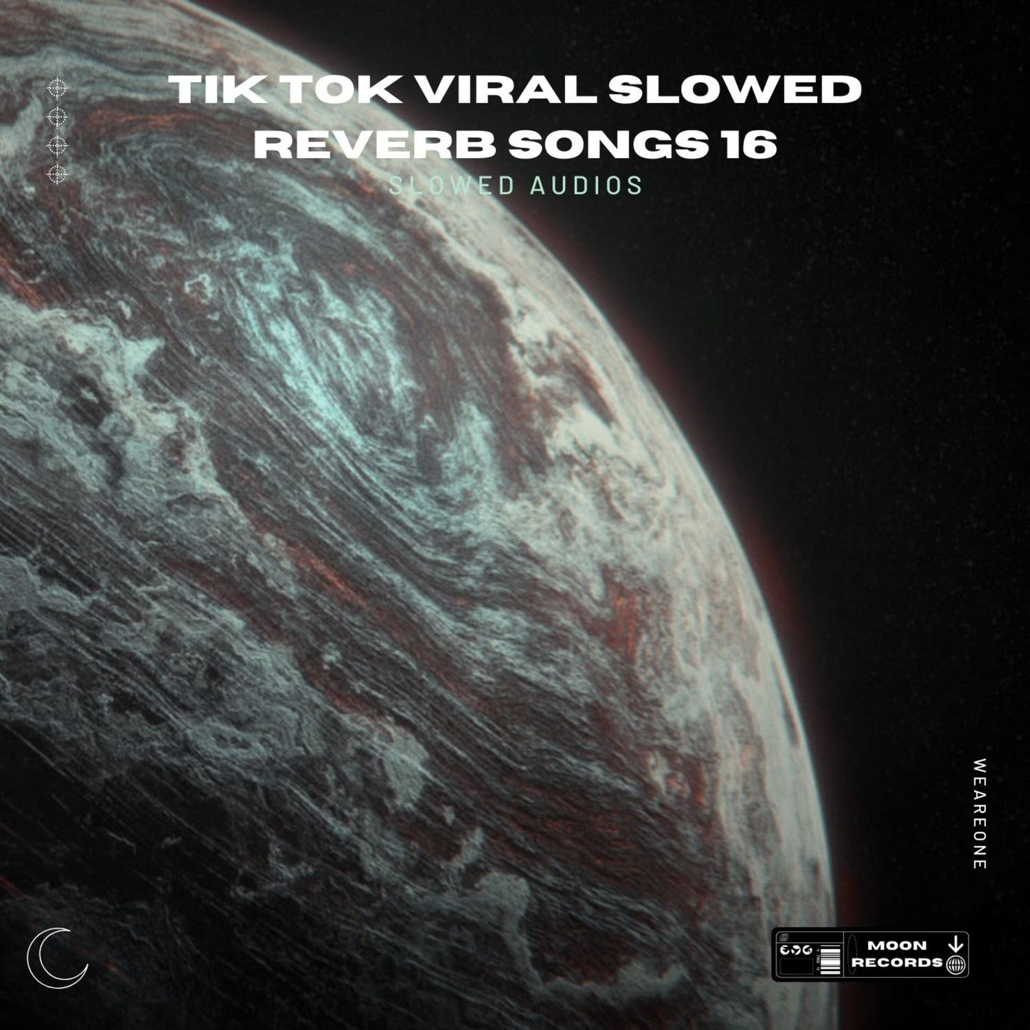 Tik Tok Viral Slowed Reverb Songs 16专辑