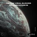 Tik Tok Viral Slowed Reverb Songs 16专辑