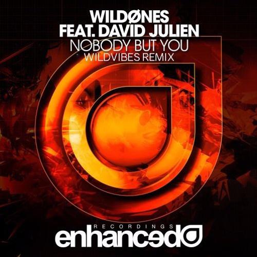 Nobody But You (WildVibes Remix)专辑