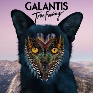 Galantis - True Feeling (Instrumental) 原版无和声伴奏 （升2半音）