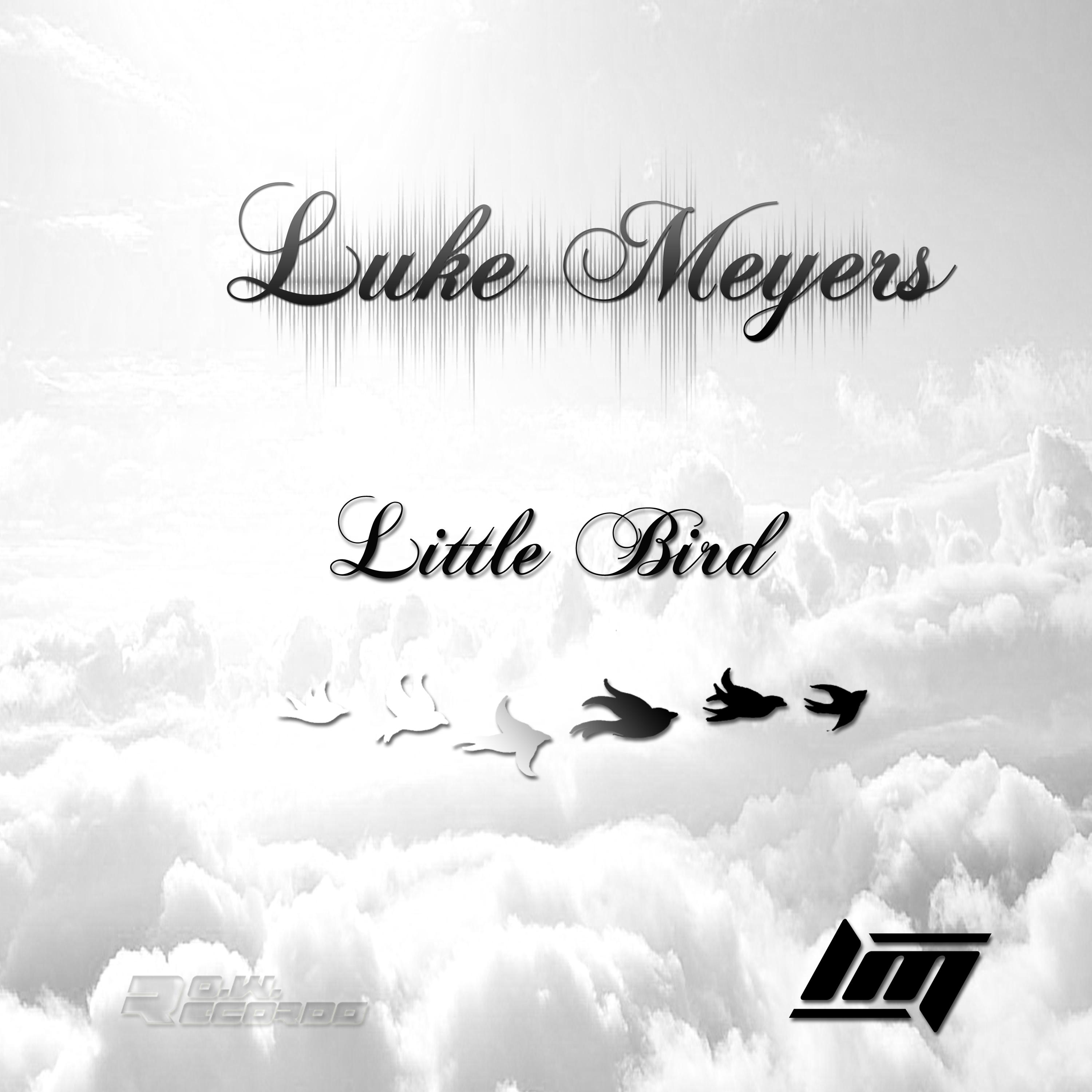 Little Bird