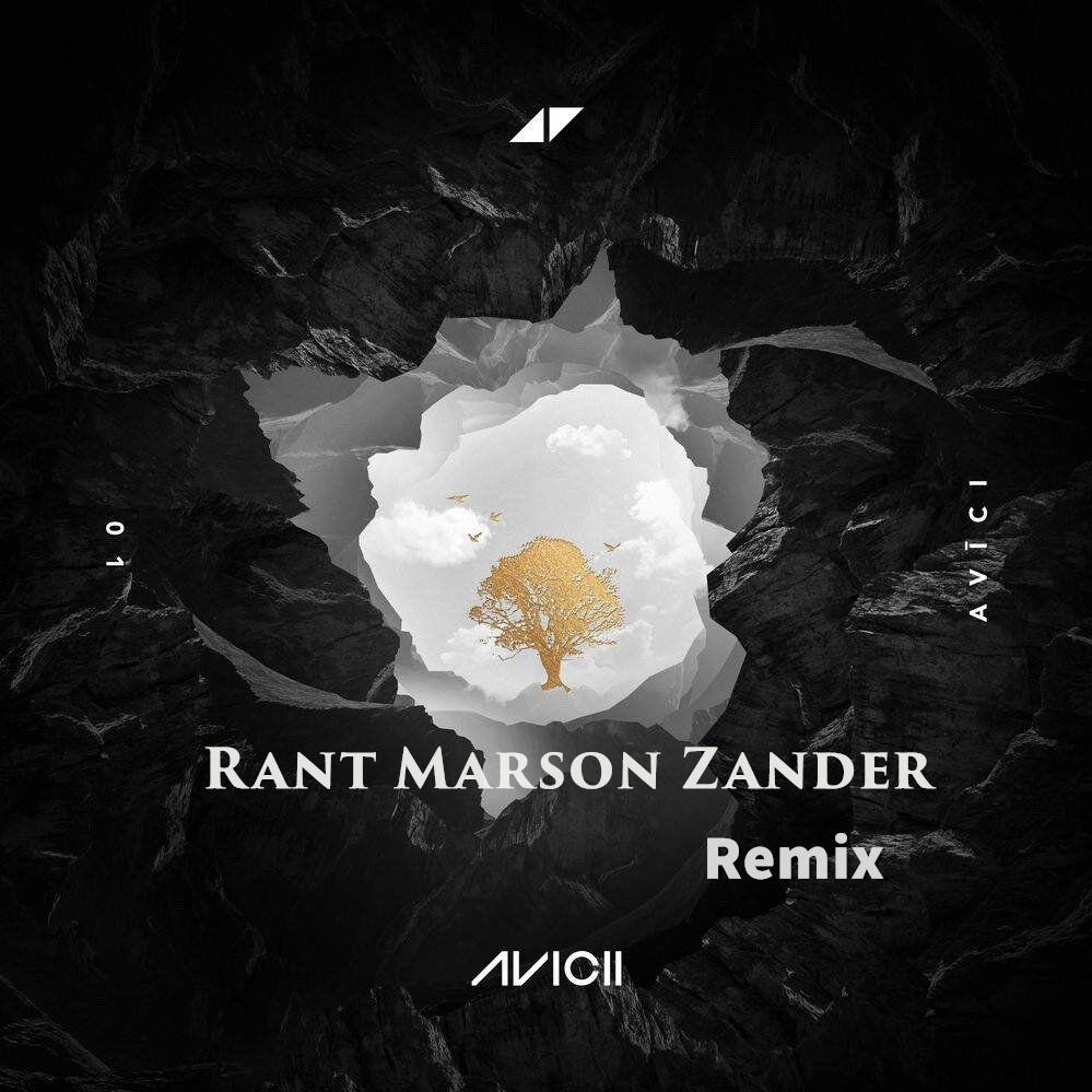 Without You（Rant Marson Zander Remix）专辑