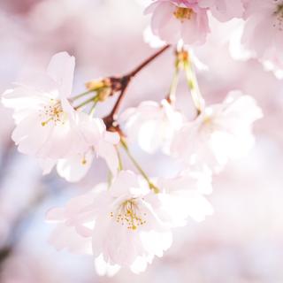 适合写作业工作减压助眠的轻音