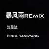 暴风雨（刘思达remix）instrumental prod.yangyang