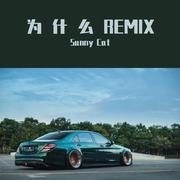 马思唯-为什么Remix（Sunny Cat / 马思唯 remix）