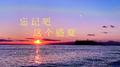 忘记吧这个盛夏专辑
