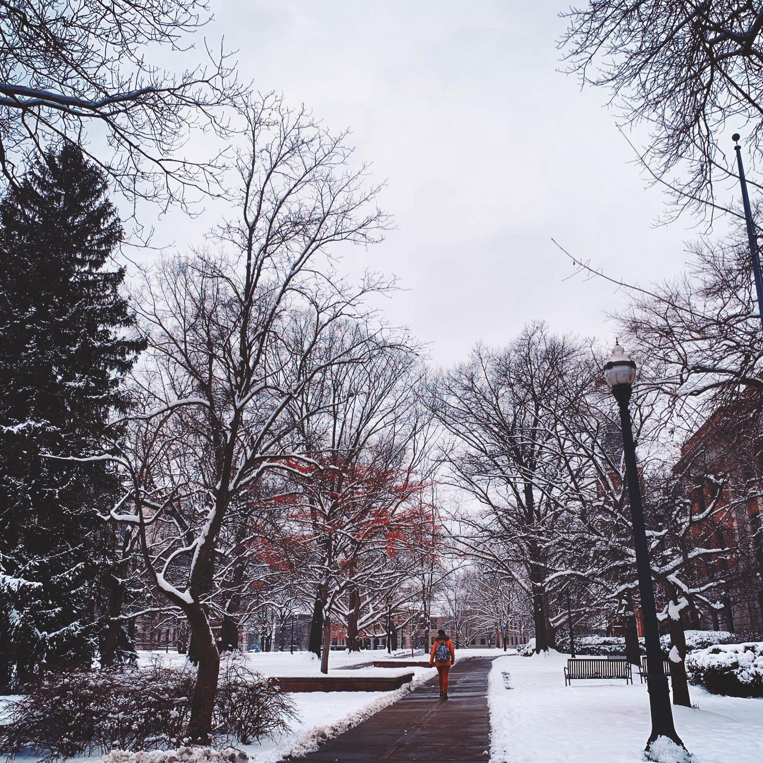 ROOK1E-pure imagination（JC (Jasper Chen) / MIU remix）