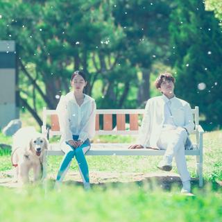 《仅此一次的爱情／丹，唯一的爱》bgm