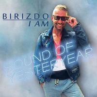 Birizdo I Am - Sound Of Yesteryear (Disco舞曲) 无和声伴奏