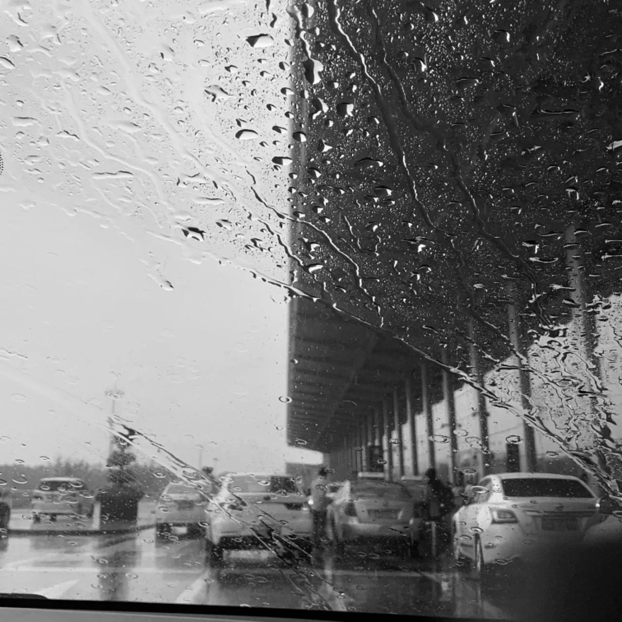 开往春天的地铁（钢琴版）（翻自 从你的全世界路过电影原声带）