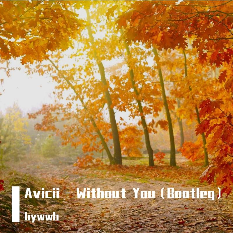 Without You
