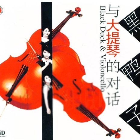 黑鸭子与大提琴的对话
