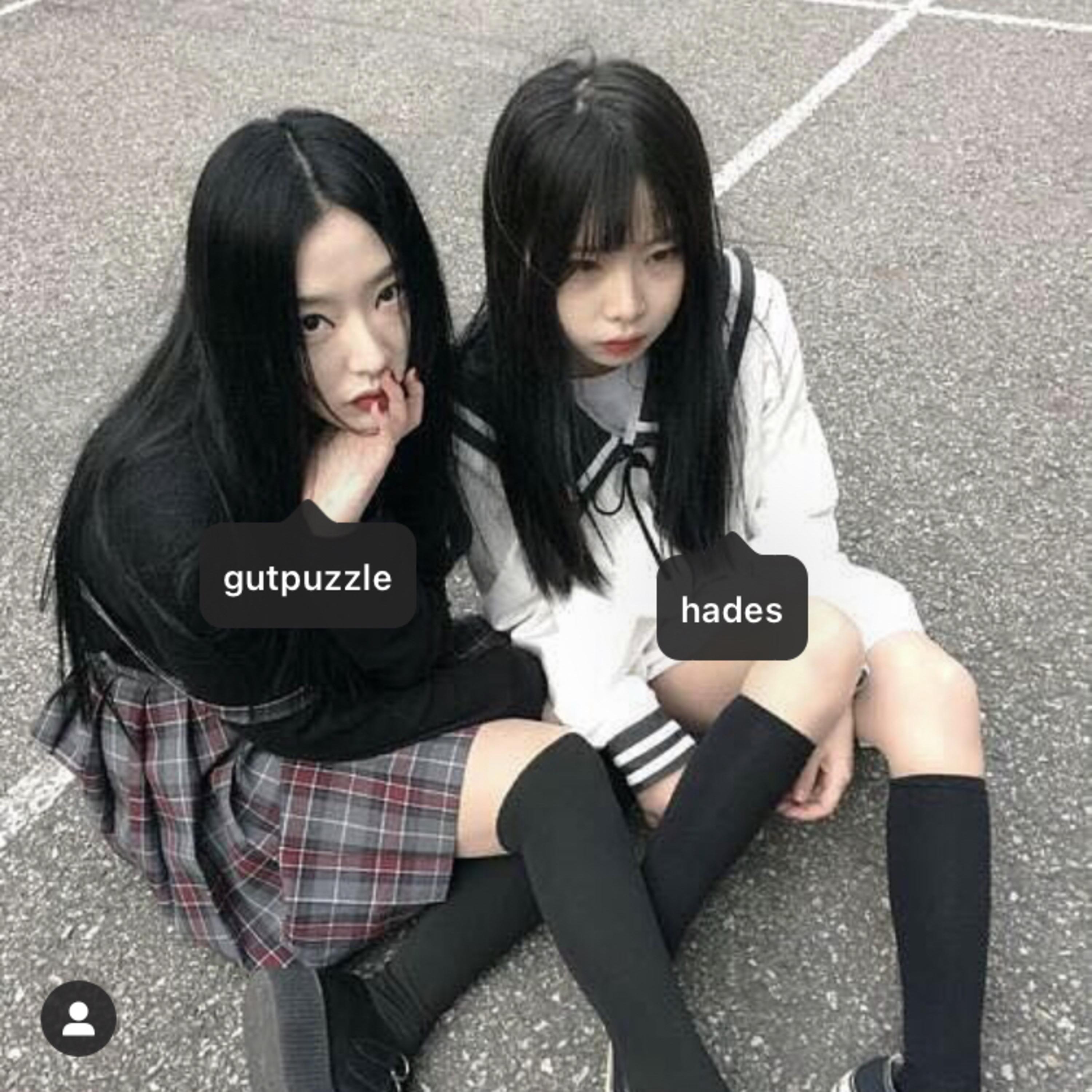 gutpuzzle x hades ****you