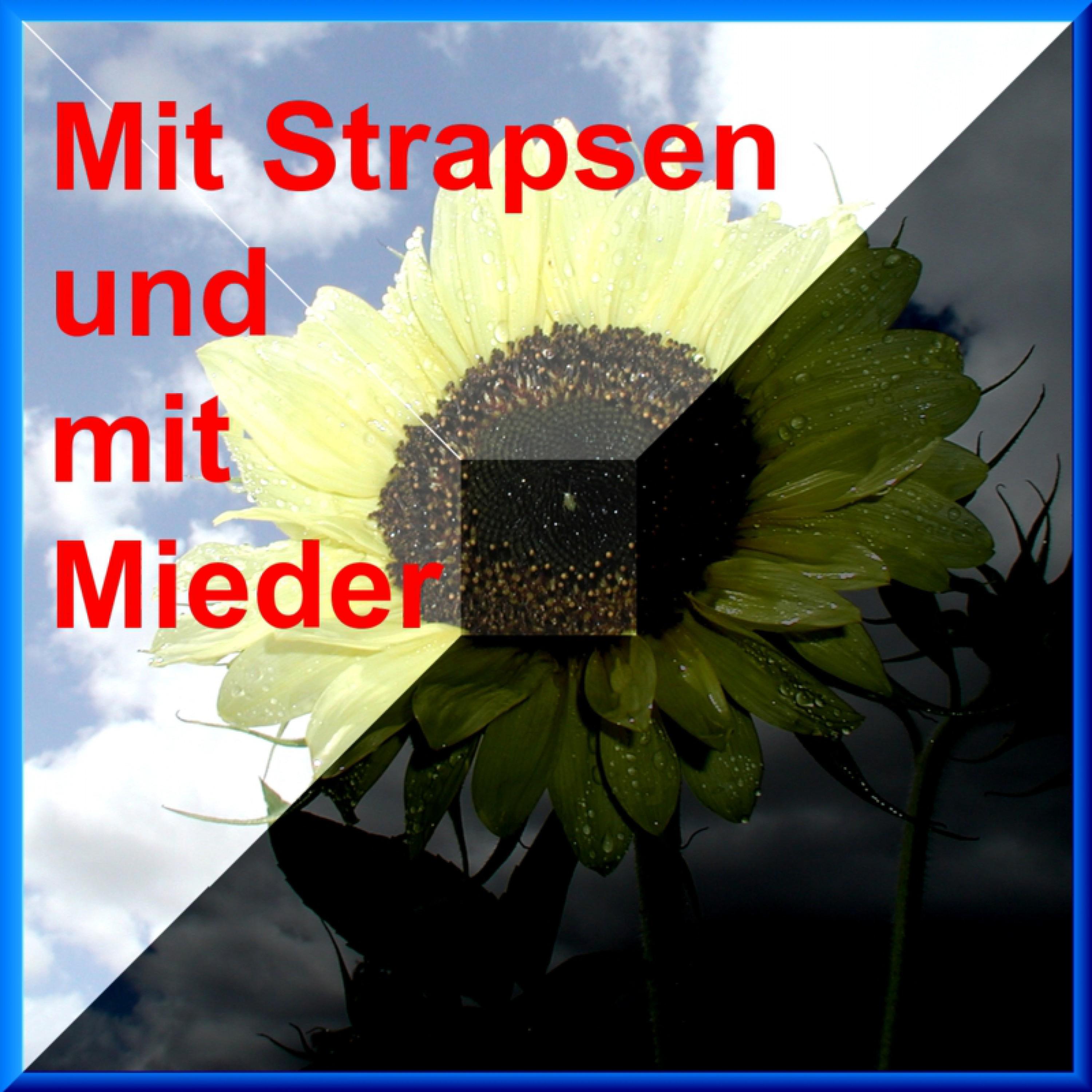 Mit Strapsen Und Mit Mieder