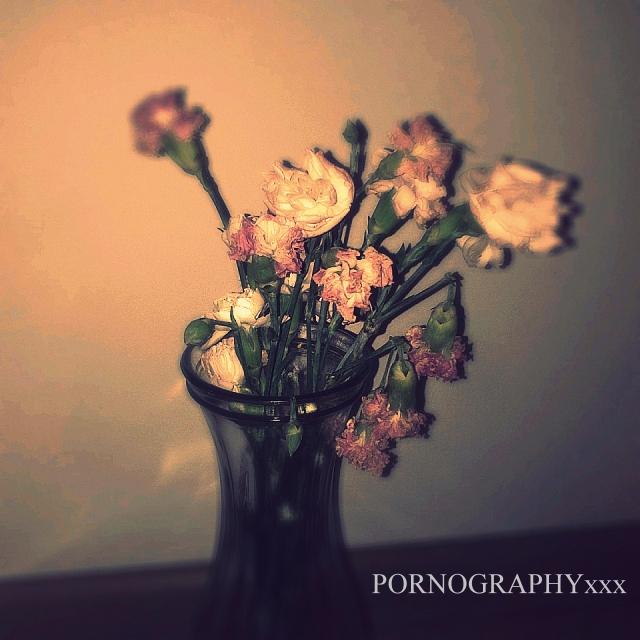 PORNOGRAPHYxxx