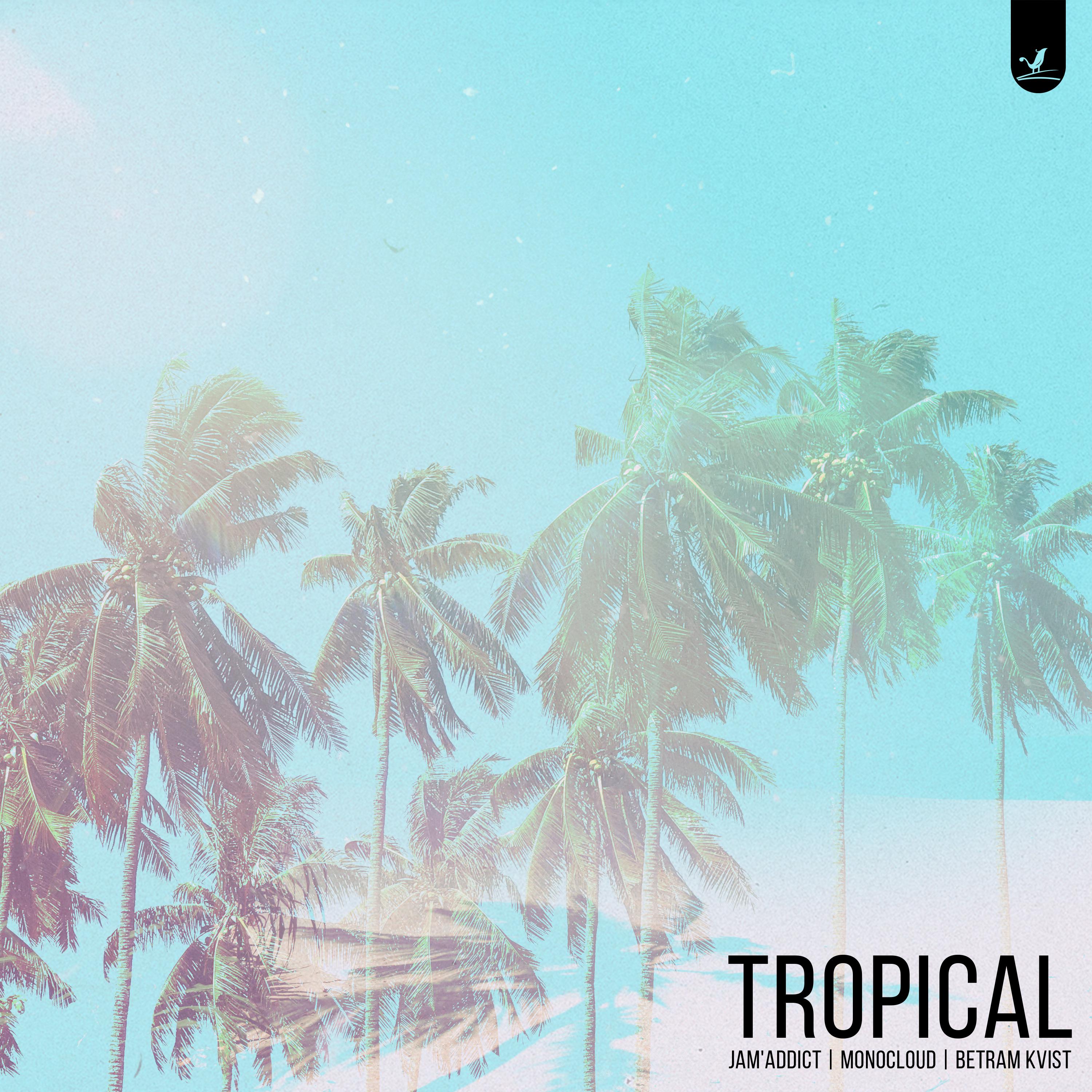 Tropical专辑