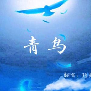 青鸟(中国梦之声·下一站传奇) （原版立体声） 【中国梦之声·下一站传奇】