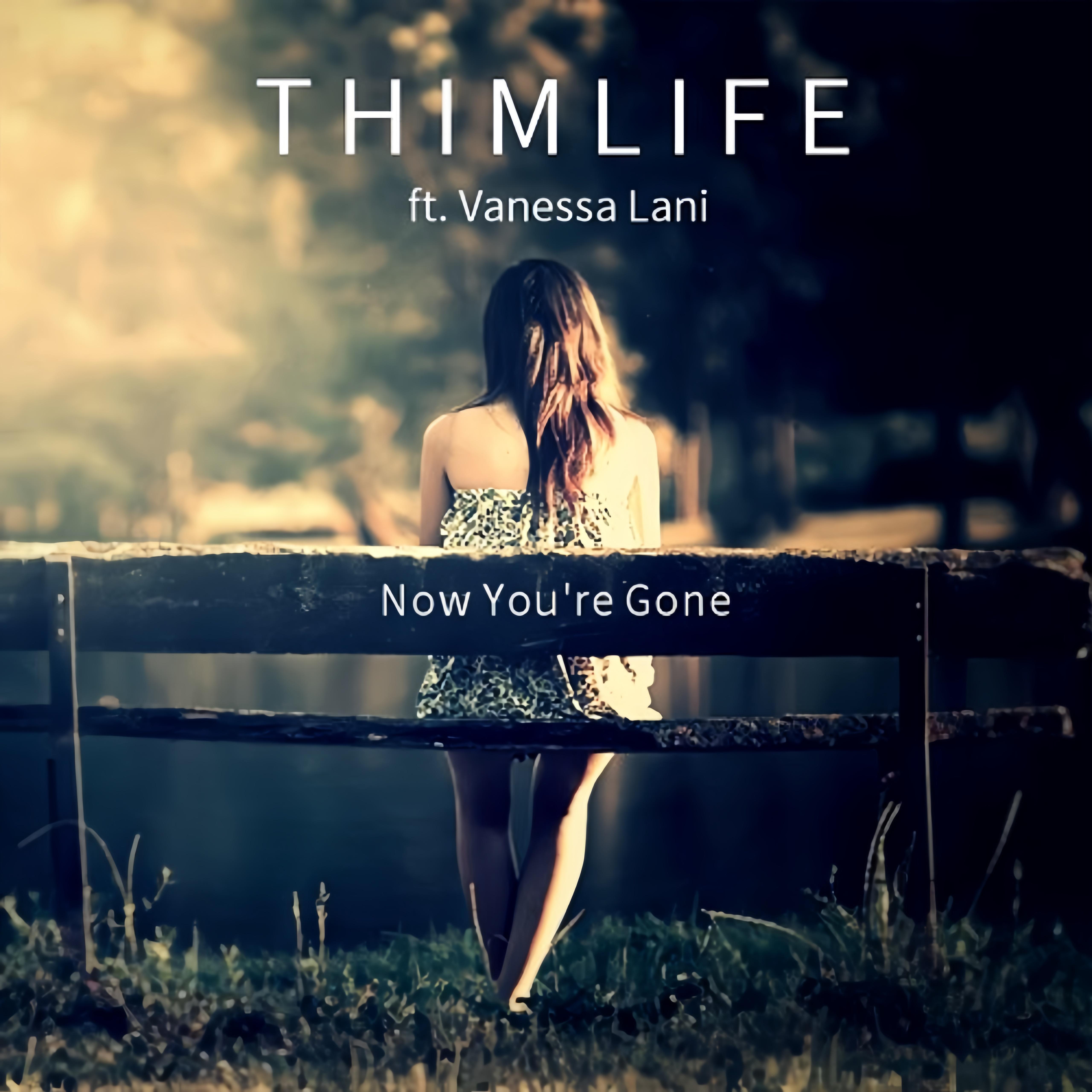 Now You're Gone (Original Mix)