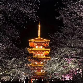 每个人心中都有座世外桃源