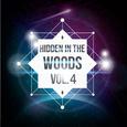 Hidden In The Woods Vol.4