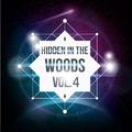 Hidden In The Woods Vol.4