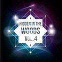 Hidden In The Woods Vol.4专辑