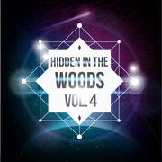 Hidden In The Woods Vol.4