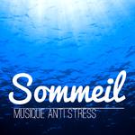 Sommeil: Exercice de Relaxation, Musique Anti Stress, Relax, Détente et Bien Dormir专辑