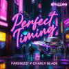 Farenizzi - Perfect Timing