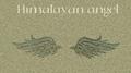 Himalayan angel专辑