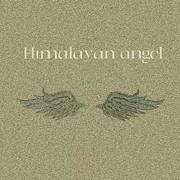 Himalayan angel