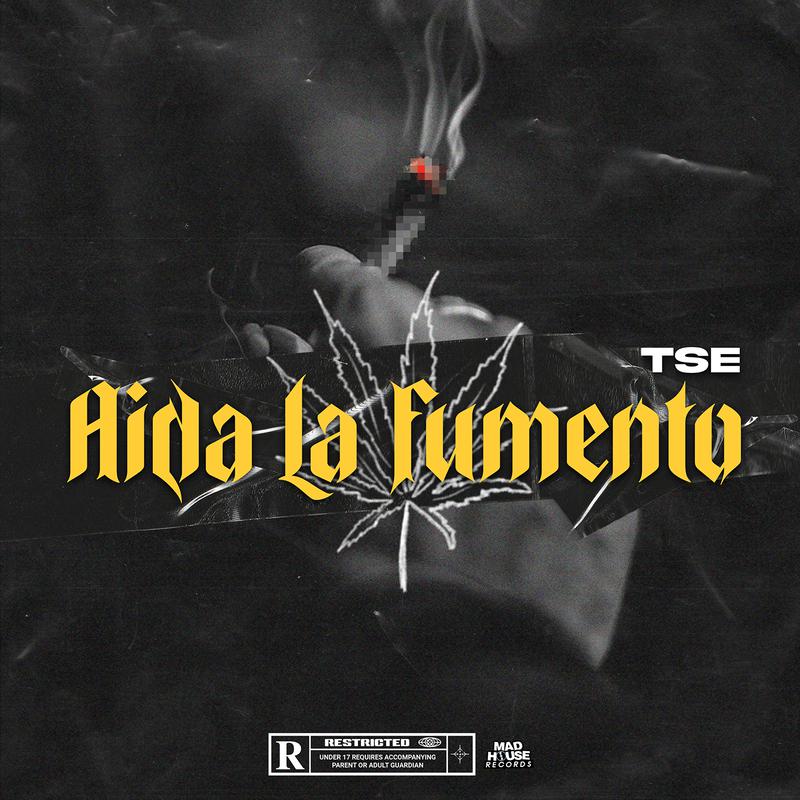 TSE - AIDA LA FUMENTO