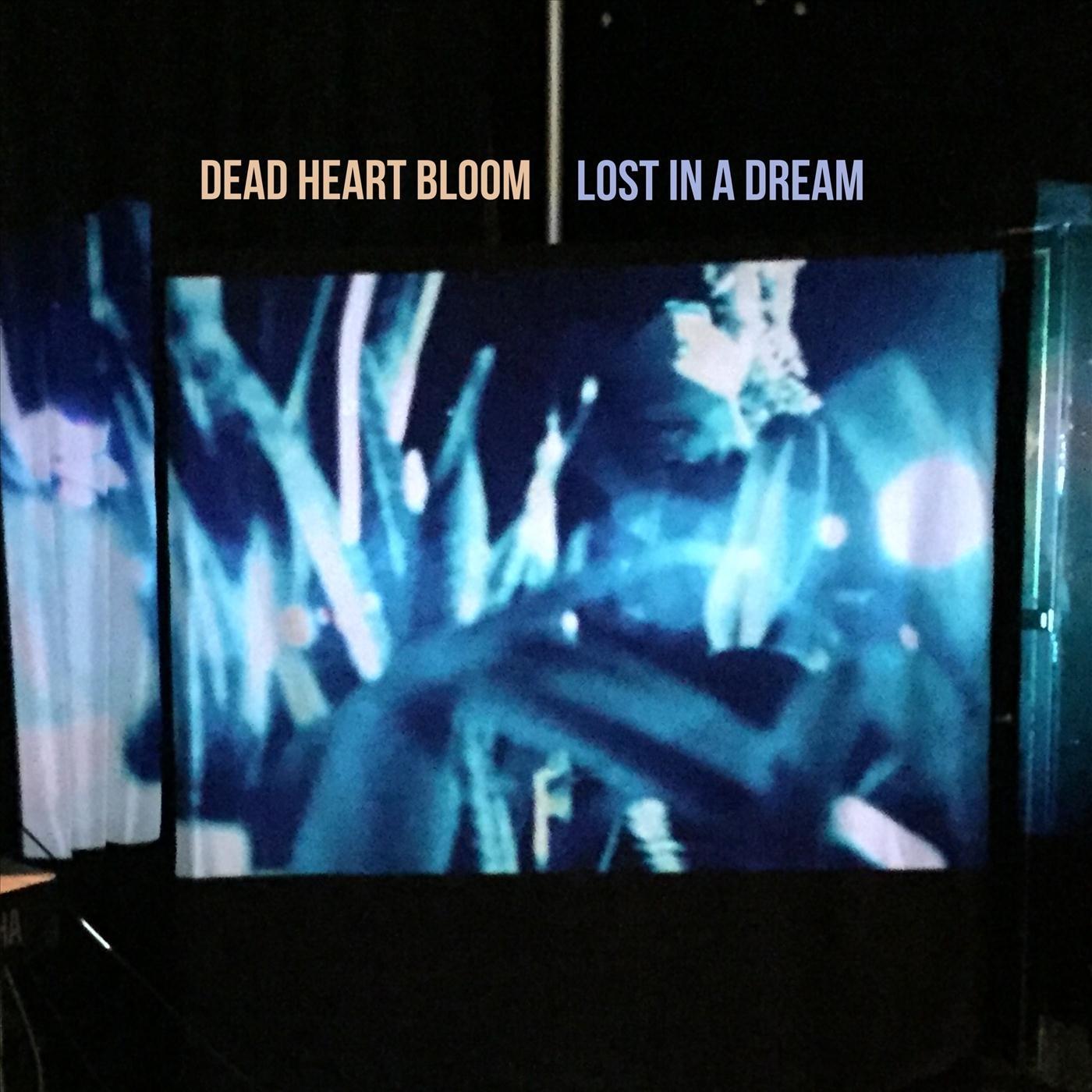 Lost in a Dream
