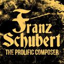 Franz Schubert: The Prolific Composer专辑