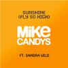 Sunshine (Fly So High) (2012 Radio Mix)