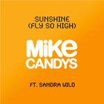 Sunshine (Fly So High) (2012 Original Mix)