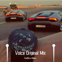 Voice Original Mix