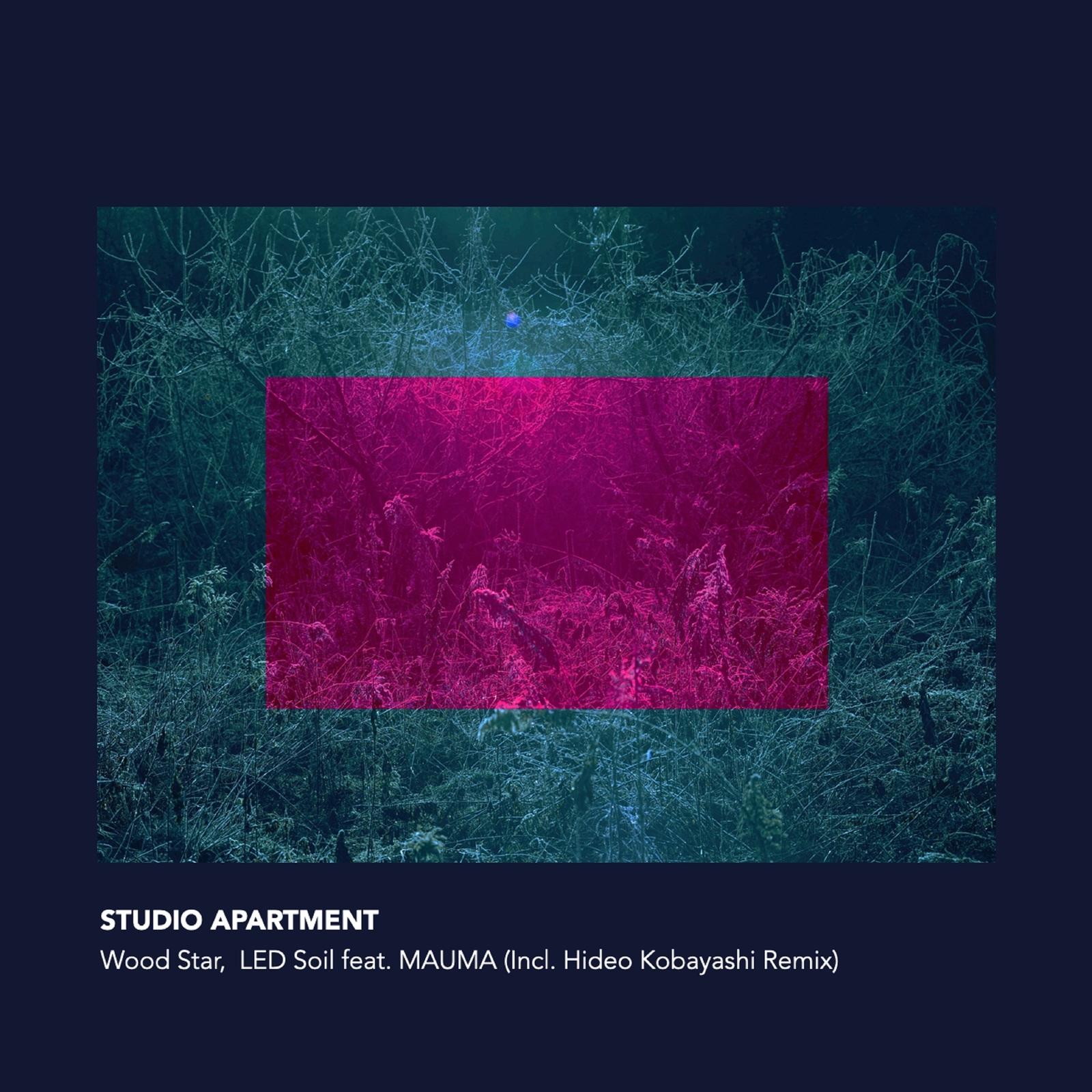 Wood Star, LED Soil (Hideo Kobayashi Remix)