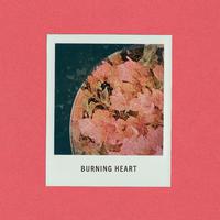 Burning Heart - Vandenburg