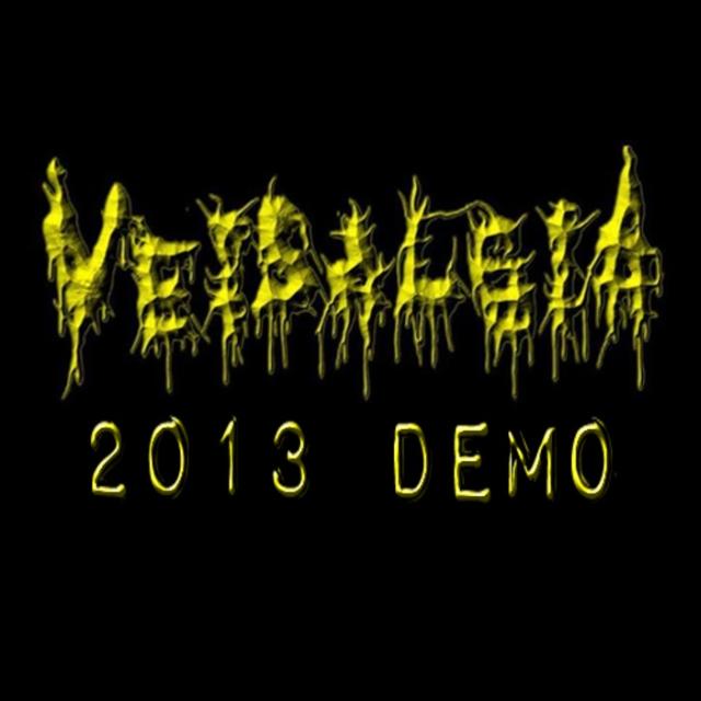 2013 Demo