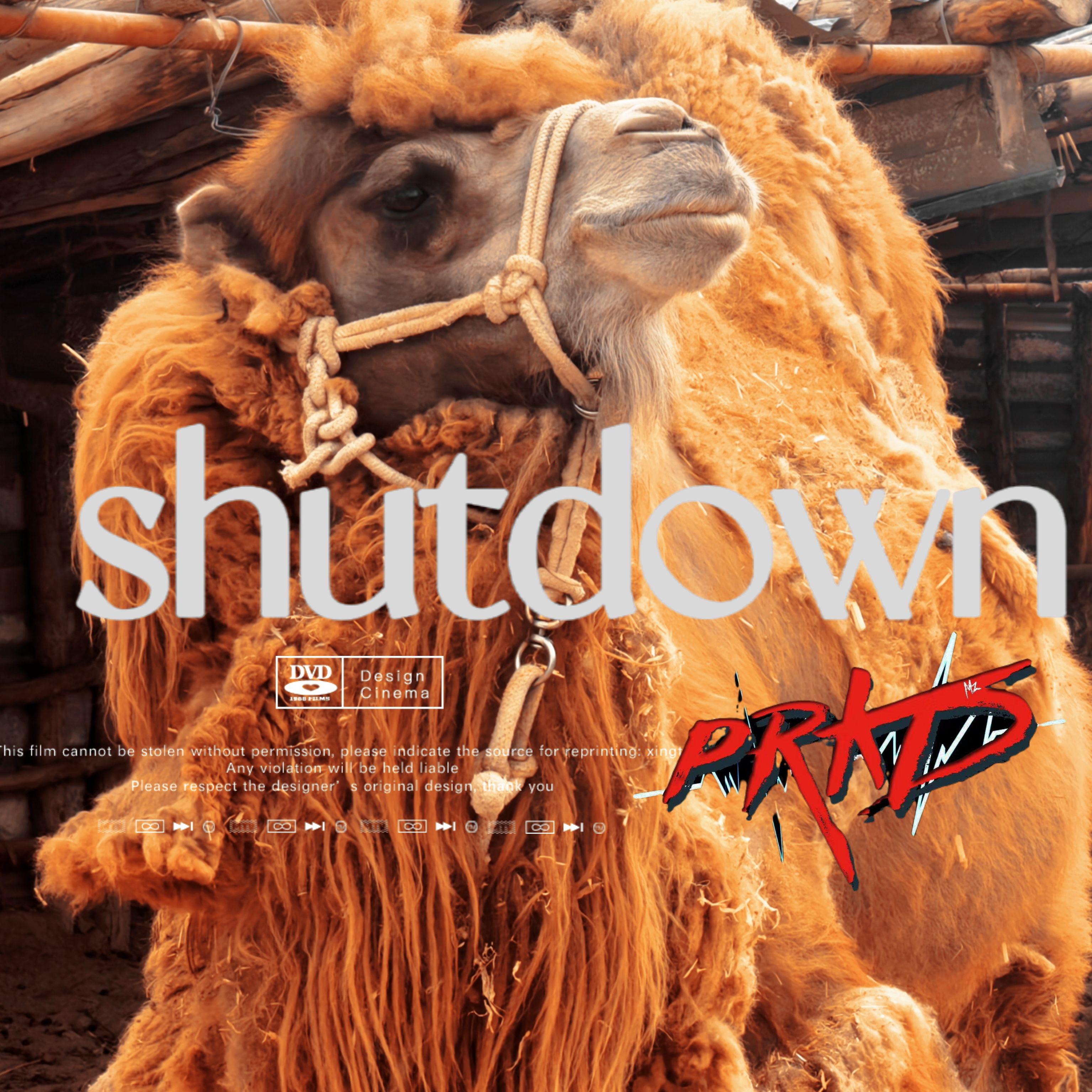 P-R-K-D - Shutdown[关机]